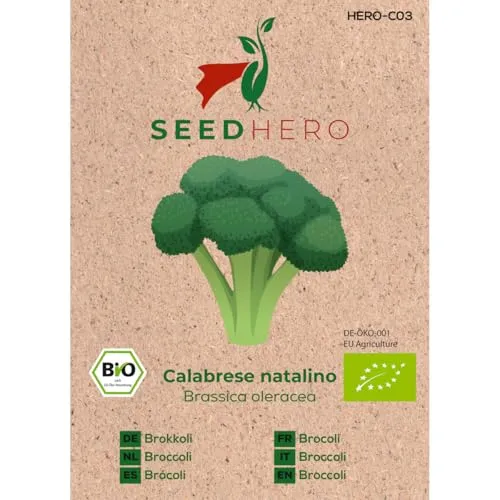 Seedhero BIO Brokkoli Calabrese natalino Gemüsesamen – ca. 80 Pflanzen – Saatgut für Garten, Balkon & Hochbeet