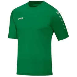 Jako Fußballtrikot Team KA Trikot Kids (1-tlg) default grün 116