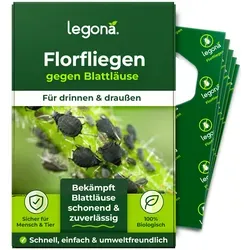 Florfliegenlarven zur natürlichen Schädlingsbekämpfung - Effektive biologische Lösung gegen Blattläuse und Thripse. Ideal für präventive und akute Anwendungen, sorgt für gesunde Pflanzen ohne schädliche Chemikalien.