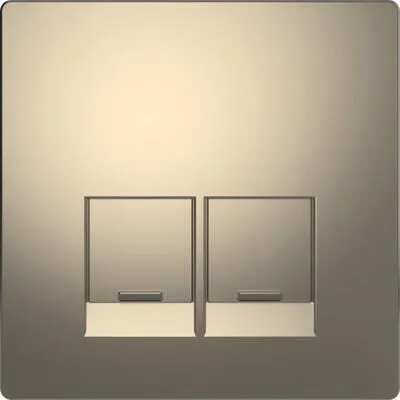 Merten Zentralplatte für Schneider Electric-Connector, System Design, 2fach, Nickelmetallic (MEG4572-6050)