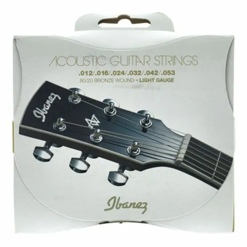 IACS6C Acoustic Steel Strings