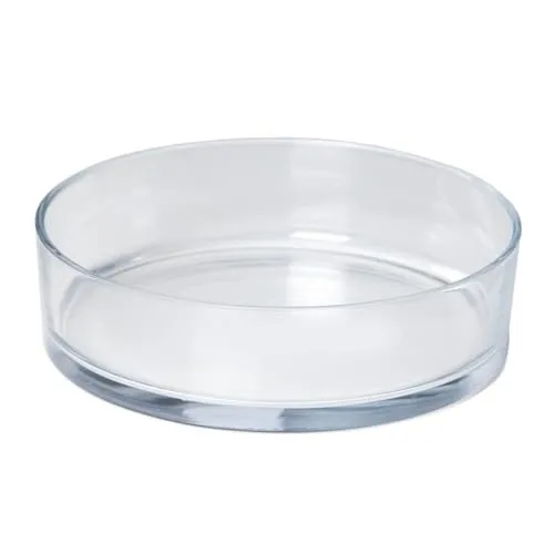 INNA-Glas Glasschale VERA OCEAN, transparent, 29 cm - Elegante Obstschale aus klarem Glas, Ø 29 cm, ideal für stilvolle Präsentation von Früchten und Snacks.