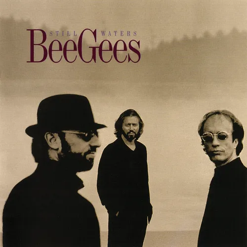 Bee Gees Still Waters (CD)