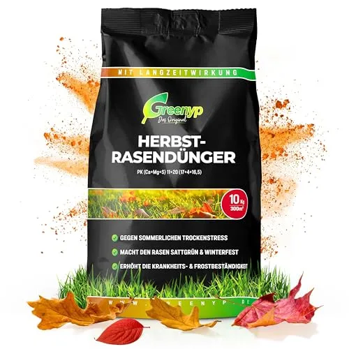 Greenyp Herbstrasendünger Langzeit (30kg / 1000m²) I mit 90 Tage Langzeitwirkung + extra Kalium I macht den Rasen Winterfest & Tiefgrün I Herbstdünger Rasen Rasendünger Herbst