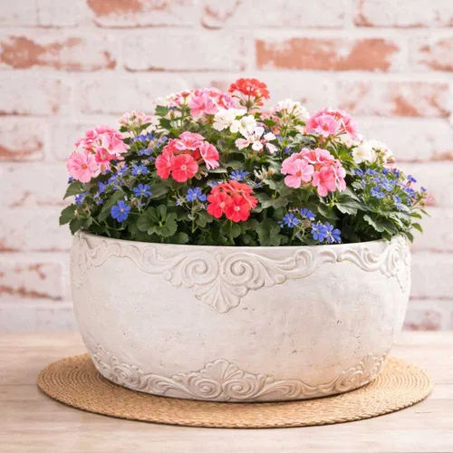 AltoBelli Blumentopf ADELINA Schale Zement Antik Grau Patina 24x12 cm