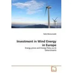 Investment in Wind Energy in Europe - Belletristik, die das rasante Wachstum der Windenergiebranche in Europa beleuchtet und deren Einfluss auf Energiepreise und -politik analysiert.