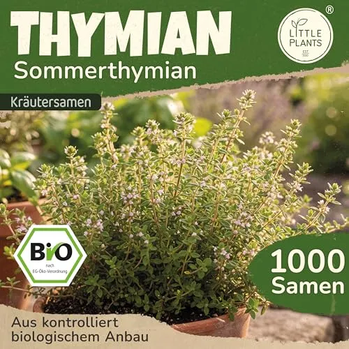 Little Plants BIO Thymian Samen 1000 Sommerthymian Kräutersamen Samenfest für Kräutergarten Kräuter Samen Küchenkräuter für Küche, Balkon und Garten