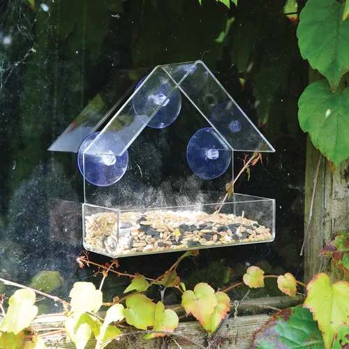 Hängender Fenster Vogelhäuschen Futtertisch Klarer Perspex Mit Saugnäpfen