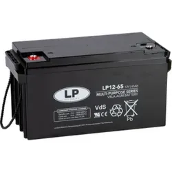 Akkuman.de Landport Bleiakku 12V 65Ah AGM Batterie NSA LP12-65 T6 - Hochwertige AGM-Batterie mit 65Ah, ideal für zuverlässige Energieversorgung in verschiedenen Anwendungen. Perfekt für den professionellen Einsatz und mit geprüfter Qualität.