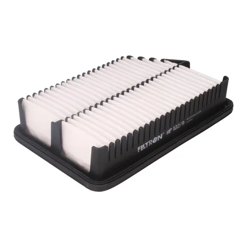 Filtron Luftfilter AP 122/9