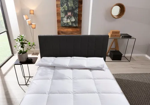 Daunenbettdecke OTTO KELLER "STARLIGHT" – für jede Saison, 135x200 cm, weiß - Die Daunenbettdecke "Starlight" von Otto Keller bietet höchsten Komfort und ist ideal für alle Jahreszeiten. Mit atmungsaktiver Baumwollhülle und hochwertiger Daunenfüllung sorgt sie für ein optimales Schlafklima. Maschinenwaschbar bis 60 °C.