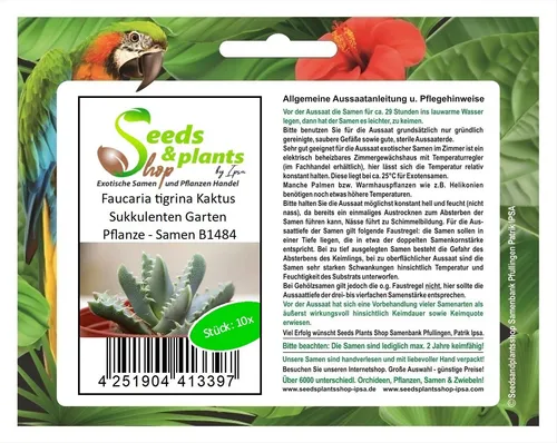 10x Faucaria tigrina Kaktus Sukkulenten Garten Pflanze - Samen B1484