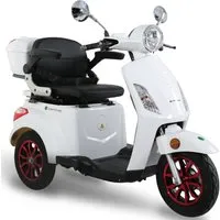 GreenStreet Elektromobil E-Mover 800 W - Elektroroller mit 25 km/h Höchstgeschwindigkeit, inklusive Topcase und bürstenlosem Motor für hohe Effizienz