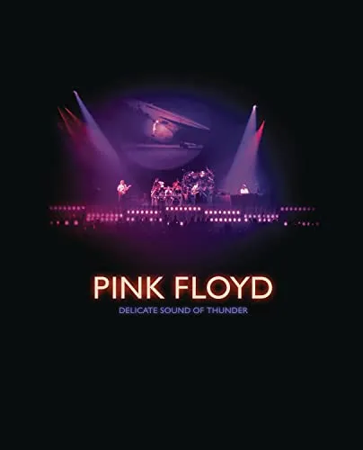 DELICATE SOUND OF THUNDER - DVD - Erleben Sie die beeindruckenden Live-Momente der Musikgeschichte mit dieser DVD. Hochwertige Aufzeichnung für unvergessliche Unterhaltung.