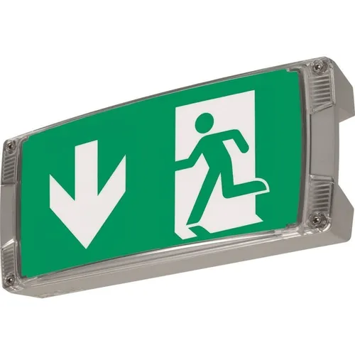 Ceag Notlichtsysteme AtlanticLEDIILTSCG-S Sicherheitsleuchte - Hochwertige Sicherheitsleuchte für Notlichtsysteme, ideal zur Rettungswegkennzeichnung, mit langlebigem LED-Leuchtmittel und robustem Aluminiumgehäuse.