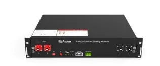 Dyness B4850 - Hochleistungs-Energiespeicher - Powerstations - Modularer LiFePO4 Akku mit 2.4 kWh, ideal für Wohnanwendungen und höchste Sicherheit mit über 6000 Zyklen.