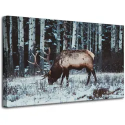 Leinwanddruck Kanadischer Hirsch 80x50 – Tiermotiv - Hochwertiger Leinwanddruck eines majestätischen kanadischen Hirsches, ideal für die Tierliebhaber-Dekoration. Bringt Naturflair in Ihr Zuhause.
