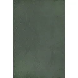 Novel Webteppich Stilo, Grün, 80x150 cm, Oeko-Tex® - Moderner Webteppich in Grün, ca. 80 x 150 cm, waschbar und Fußbodenheizung geeignet – für ein hyggeliges Wohnambiente und zertifizierte Qualität nach Oeko-Tex®.