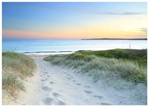 Fototapete Strand Meer Nordsee Dünen Natur 250x175 cm - inkl. Kleister - für Wohnzimmer Schlafzimmer Flur Modern Vlies Tapete Vliestapete Wandtapete Motivtapeten
