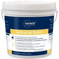 orthosal®SELEN HORSE 5kg Eimer - Hochwertiges Selen-Mikronährstoffprodukt zur Unterstützung der Pferdefütterung. Fördert die allgemeine Vitalität und sorgt für eine optimale Nährstoffverfügbarkeit.
