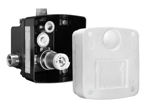 Schell Unterputz-Masterbox Mischwasser für Duschen Selbstschluss - 018670099 - Hochwertige Unterputz-Masterbox für Mischwasser, ideal für moderne Duschen mit Selbstschluss-Funktion für effizienten Wasserverbrauch.