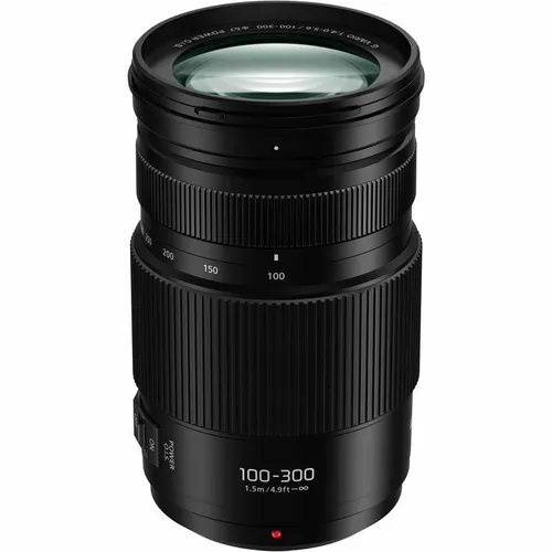 Panasonic Lumix G Vario 100-300mm F/4-5.6 II Power O.I.S. Linse - Teleobjektiv für Mikro Vier Drittel-Kameras, bietet präzise Bildstabilisierung und hervorragende Bildqualität bei Sport- und Tierfotografie.