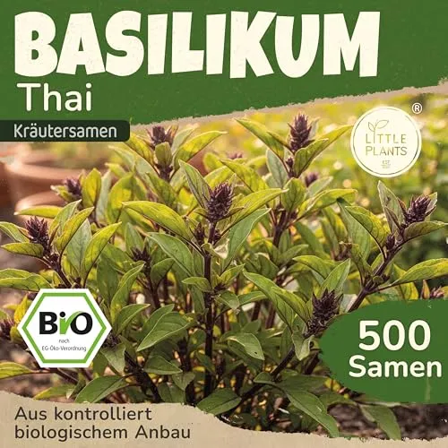 Little Plants BIO Thai-Basilikum Samen 500 Thai-Basilikumsamen Kräutersamen für Kräutergarten Hochbeet Samenfest Kräuter Samen für Küche, Balkon und Garten Küchenkräuter