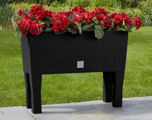 Prosperplast Pflanzkübel Rato Case High, 60x25x46 cm - Gestalten Sie Ihre Pflanzenarrangements stilvoll! Der hochwertige Pflanzkübel mit 30 Litern Fassungsvermögen ist ideal für Innen- und Außenbereiche. Das integrierte Bewässerungssystem erleichtert die Pflege Ihrer Pflanzen.