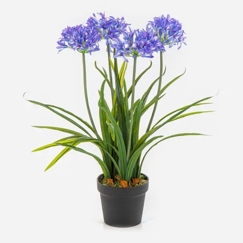Kunstblume Agapanthus LESEDA im Dekotopf, blau, 65cm - Elegante Kunstblume Agapanthus in Blau, ideal für stilvolle Innenräume. Der Dekotopf sorgt für einen ansprechenden Look und pflegeleichte Dekoration ohne Aufwand.