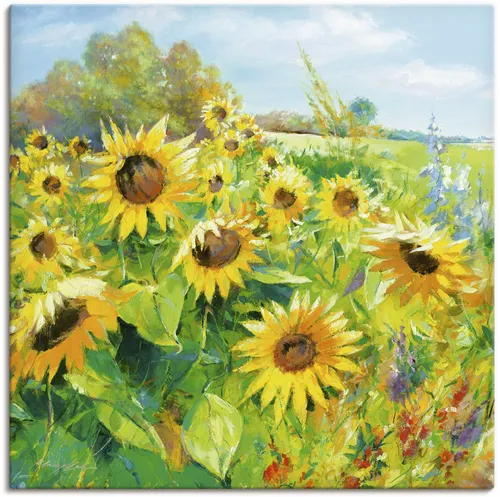 ARTLAND Wanddeko Leinwand Bilder Wandbild 50 x 50 cm Botanik Blumenwiese Sonnenblume Malerei Gelb A1QU Sommerwiese