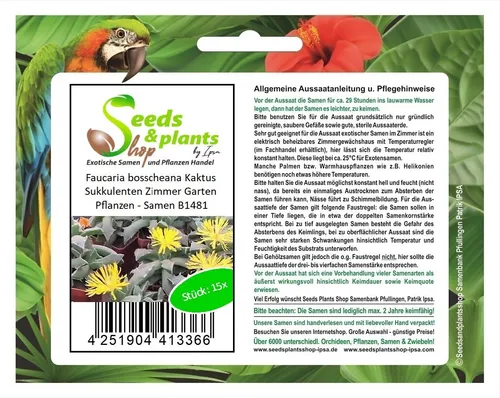 15x Faucaria bosscheana Kaktus Sukkulenten Zimmer Garten Pflanzen - Samen B1481