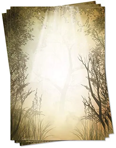 LYSCO Motiv Briefpapier (Natur-5119, DIN A4, 25 Blatt) Wald Sonne Sonnenstrahlen Lichtung Motivpapier
