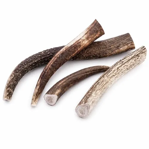 mascota vital - Hirschgeweih - 100% Hirschgeweih - Ideal für die Zahnpflege - 100% Natürlich - Geweih - Kauknochen - Hundespielzeug - Geweih vom Rothirsch (XL (120-160g), ganz)