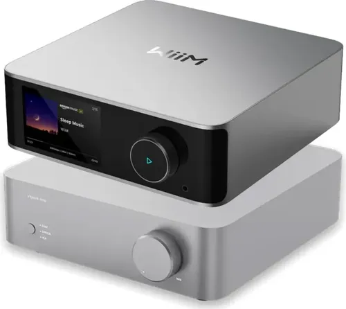 WiiM Vibelink Amp - Silver - Verstärker für High-Res-Audio, elegantes Design mit hochwertigem Aluminiumgehäuse und leistungsstarker Klangqualität, ideal für Musikliebhaber.