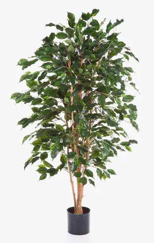Kunstbaum Ficus Benjamina Thiago, 120 cm, schwer brennbar - Der 120 cm hohe Kunstbaum Ficus Benjamina Thiago bringt Naturflair in jeden Raum. Mit schwer brennbaren Naturstämmen ist er ideal für die Innenraumgestaltung und sorgt für eine langlebige Farbtreue.