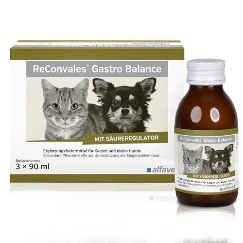 Alfavet ReConvales Gastro Balance für Hunde & Katzen - Ergänzungsfuttermittel für die Magenschleimhaut von Hunden und Katzen, unterstützt durch natürliche Schleimstoffe und wichtige Vitamine, ideal für eine gesunde Verdauung.