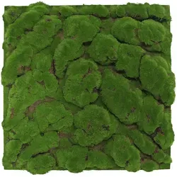 Wandpaneel Jangal Modular Wall 11109 - Forest Green Moos Design - Wandverkleidung aus dekorativer Wandvertäfelung, ideal für kreative Raumgestaltung mit einem einzigartigen, natürlichen Look.