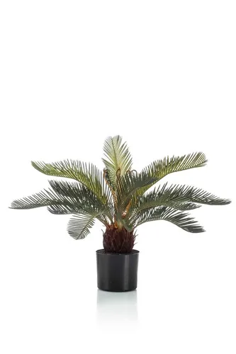 Kunstpalme Cycas NEREO, 55 cm – Kunstpflanze für stilvolle Innenräume - Diese 55 cm hohe Kunstpalme von artplants bringt einen Hauch von Natur in Ihr Zuhause. Ideal zur Dekoration und pflegeleicht, sorgt sie für eine ansprechende Atmosphäre ohne Wartungsaufwand.