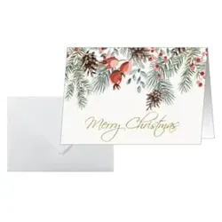 Sigel 25 SIGEL Weihnachtskarten Red Berries and pine Cones DIN A6 4004360786464 Sigel 25 Stück
