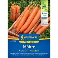 Kiepenkerl Möhren Nominator (Daucus carota)