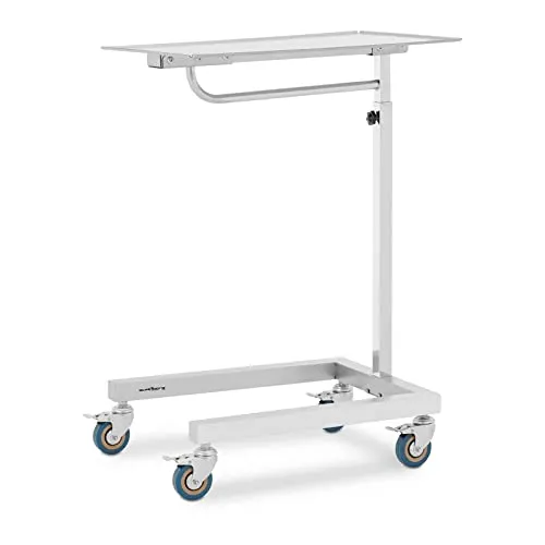 Steinberg Systems Regalwagen Instrumententisch - 60x40cm höhenverstellbar - Beistellwagen aus Edelstahl und Gummi, höhenverstellbar und ideal für Instrumente oder als mobile Ablage, maximal belastbar bis 30 kg.