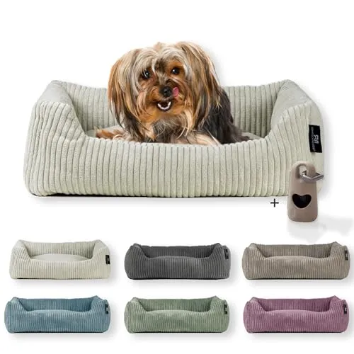 Waschbares Hundebett mit Cordkissen für kleine und mittelgroße Hunde - Hundebett aus stylischem Cordstoff, waschbar und mit Antirutschunterseite für sicheren Halt. Das 2-in-1 Design ermöglicht die Nutzung des entnehmbaren Innenkissens.
