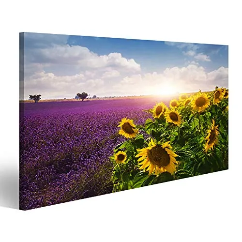 Bild Bilder auf Leinwand Lavendel und Sonnenblumen Felder, Provence Wandbild, Poster, Leinwandbild NTG