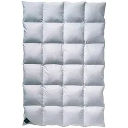 Billerbeck Catalina Daunendecke Kassette IV - 155x220cm - Winterdecke aus 100% Arktischen Weißgansdaunen, extra warm und kuschelig. Mit hydrophilem Daunen-Satin für optimale Wärme- und Feuchtigkeitsregulierung.