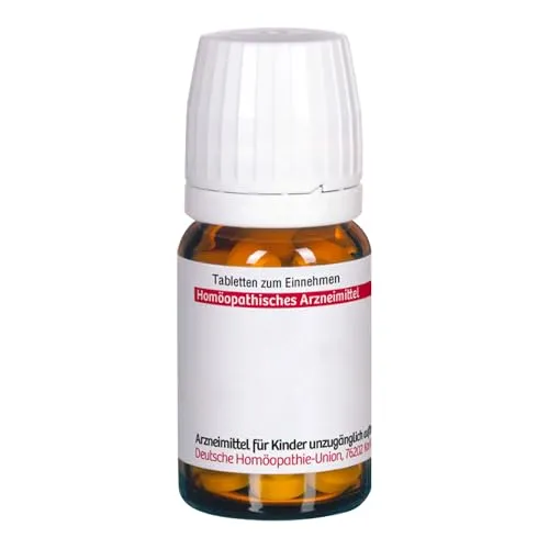 CEANOTHUS AMER D 6, 80 St