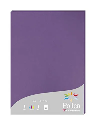 Clairefontaine 24216C - Packung mit 25 Karten Pollen 210g, DIN A4, 21 x 29,7cm, Violett