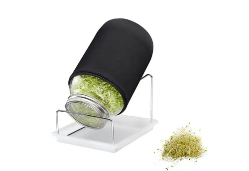 WESTMARK Anzuchttopf für Sprossen, 2000 ml - Pflanzkübel aus hochwertigem Glas und Edelstahl, ideal für die einfache Sprossenzucht zu Hause – teilweise spülmaschinengeeignet für mühelose Reinigung.