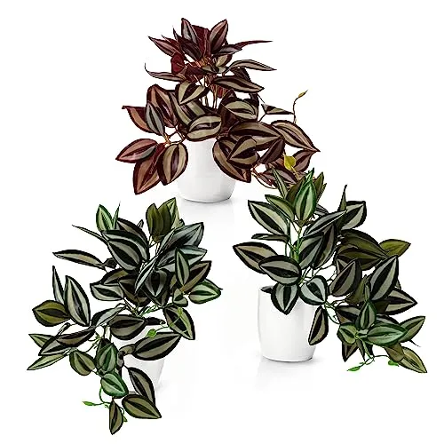 PASCH® 3er Set Zebrakraut in Hochglanz-Keramiktöpfen - Künstliche Pflanzen in edlen Hochglanz-Töpfen, pflegeleicht und ideal für jeden Standort – bringen lebendige Farben in dein Zuhause!