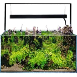 Aquarium AQUAEL UltraScape 90 mit LED Beleuchtung - Gestalten Sie Ihr persönliches Aquarienparadies mit dem UltraScape 90. Das hochwertige Opti-Glas und die integrierte LED-Beleuchtung sorgen für eine beeindruckende Präsentation Ihrer Aquarienlandschaft.