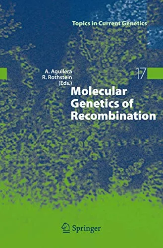 Molecular Genetics of Recombination - Topics in Current Genetics 17 - Entdecken Sie die Grundlagen der Rekombination in der modernen Biologie. Dieses Buch bietet einen umfassenden Überblick über aktuelle Ansichten und deren Kontextualisierung.
